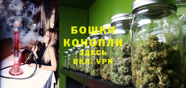 сатива Зеленодольск