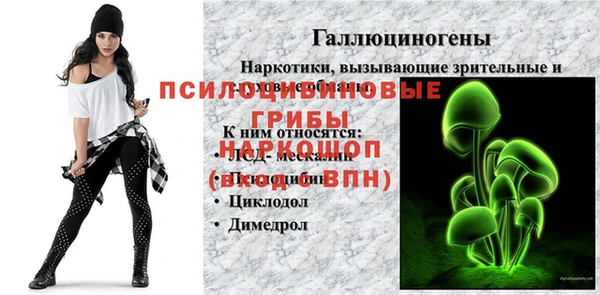 дурь Зеленокумск