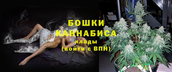 сатива Зеленодольск