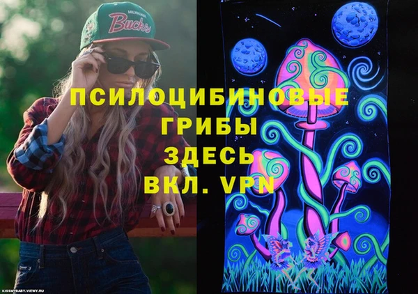 сатива Зеленодольск