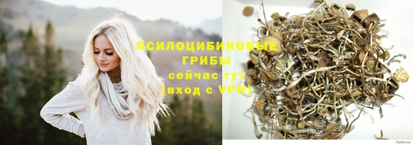 дурь Зеленокумск