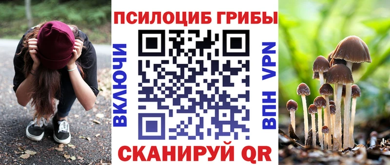Купить Мамадыш Галлюциногенные грибы Cubensis